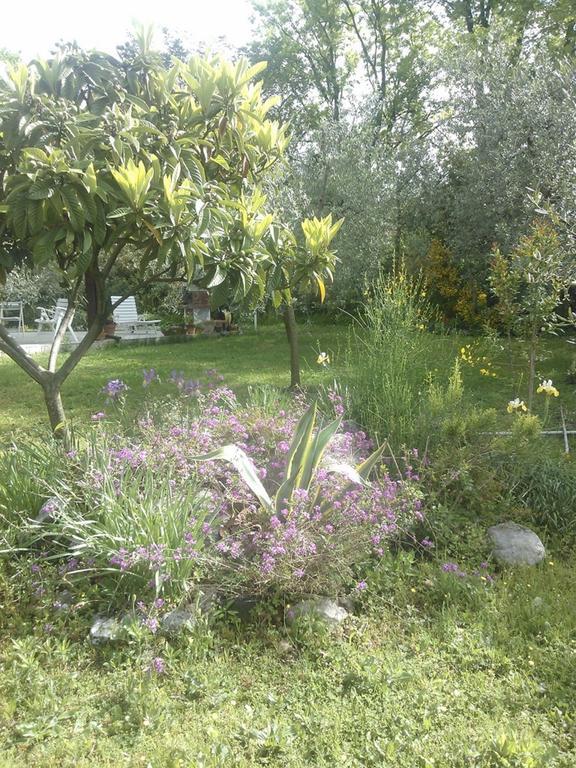B&B Villa Ada Φόρμια Εξωτερικό φωτογραφία